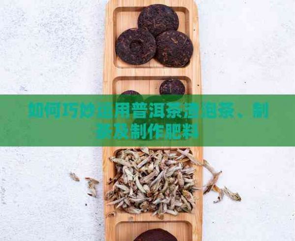 如何巧妙運用普洱茶渣泡茶、制茶及制作肥料