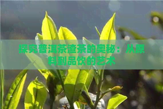 探究普洱茶渣茶的奧秘：從原料到品飲的藝術(shù)