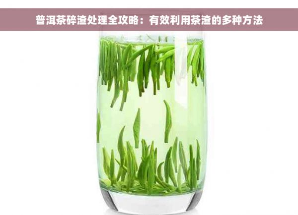 普洱茶碎渣处理全攻略：有效利用茶渣的多种方法