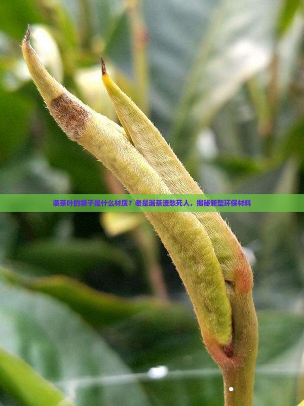 裝茶葉的袋子是什么材質(zhì)