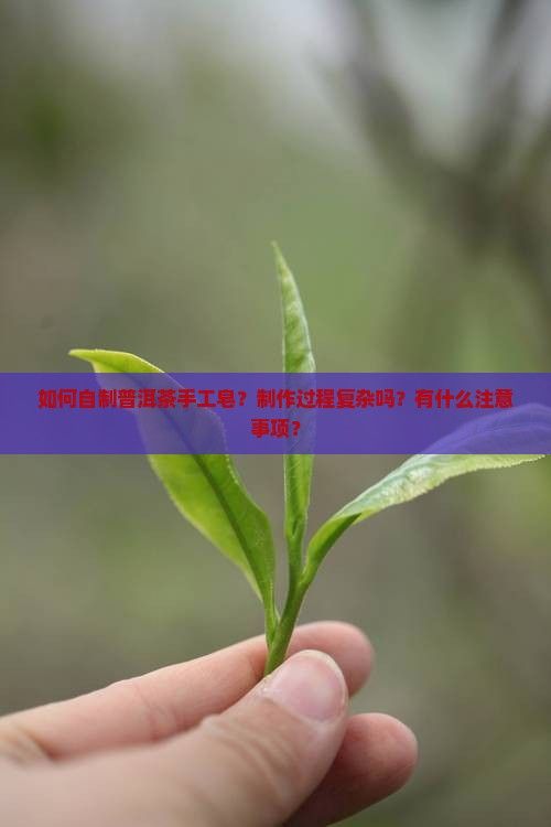 如何自制普洱茶手工皂？制作過程復(fù)雜嗎？有什么注意事項(xiàng)？