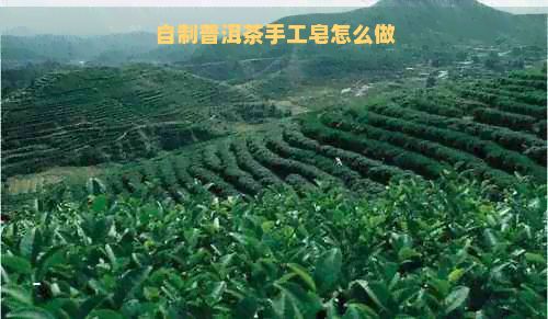 自制普洱茶手工皂怎么做