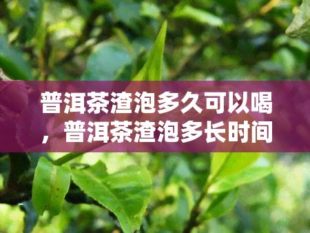 普洱茶渣泡多久可以喝，普洱茶渣泡多長時間才能達(dá)到飲用效果？