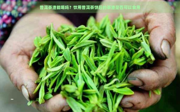 普洱茶渣能喝吗？饮用普洱茶饼后的茶渣是否可以食用
