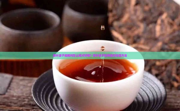 茶葉渣子能喝嗎怎么喝才好喝？茶葉渣子的用途與處理方法