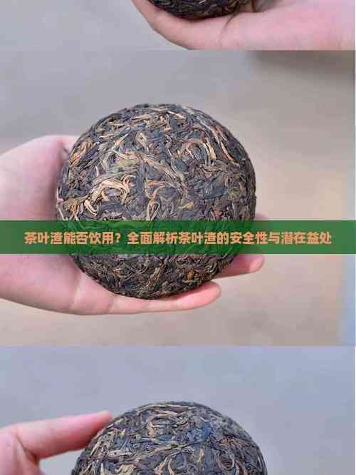 茶葉渣能否飲用？全面解析茶葉渣的安全性與潛在益處