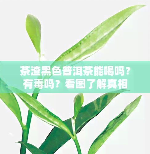 茶渣黑色普洱茶能喝吗？有毒吗？看图了解真相