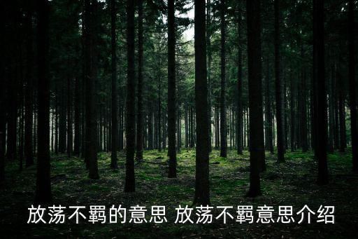  放蕩不羈的意思 放蕩不羈意思介紹