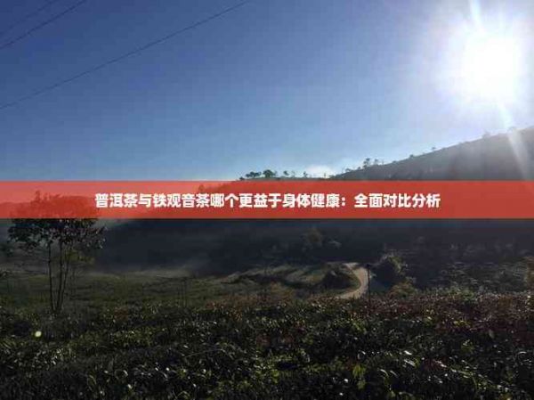 普洱茶與鐵觀音茶哪個更益于身體健康：全面對比分析