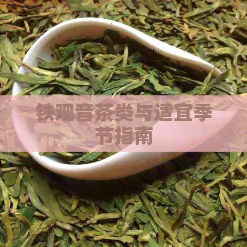 鐵觀音茶類與適宜季節(jié)指南