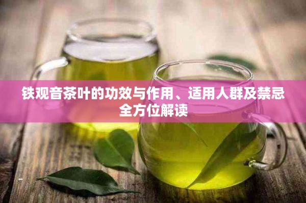 鐵觀音茶葉的功效與作用、適用人群及禁忌全方位解讀