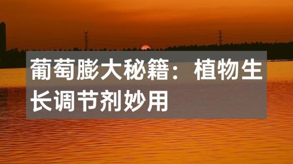 葡萄膨大秘籍：植物生長(zhǎng)調(diào)節(jié)劑妙用