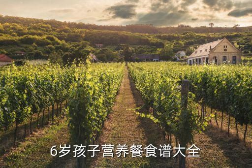 6歲孩子營養(yǎng)餐食譜大全