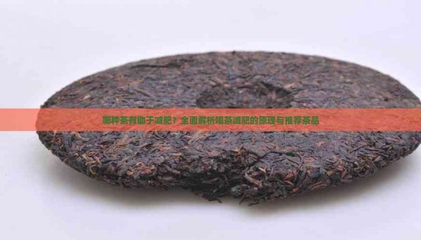 哪種茶有助于減肥？全面解析喝茶減肥的原理與推薦茶品