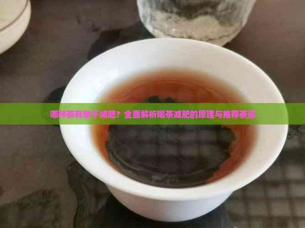 哪種茶有助于減肥？全面解析喝茶減肥的原理與推薦茶品
