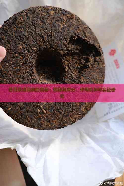 普洱茶減脂肪的奧秘：揭秘其成分、作用機制與實證研究