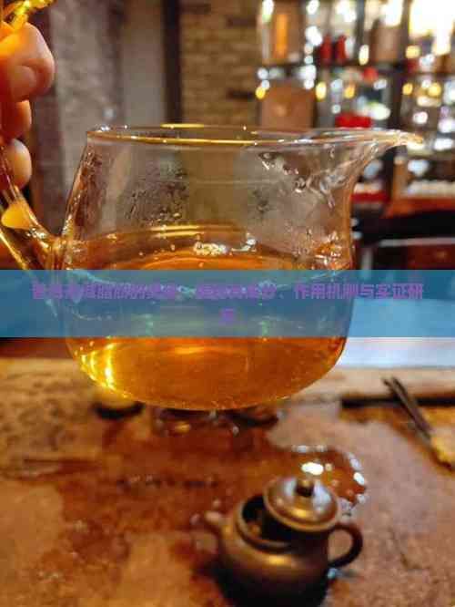 普洱茶減脂肪的奧秘：揭秘其成分、作用機制與實證研究
