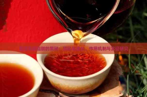 普洱茶減脂肪的奧秘：揭秘其成分、作用機制與實證研究