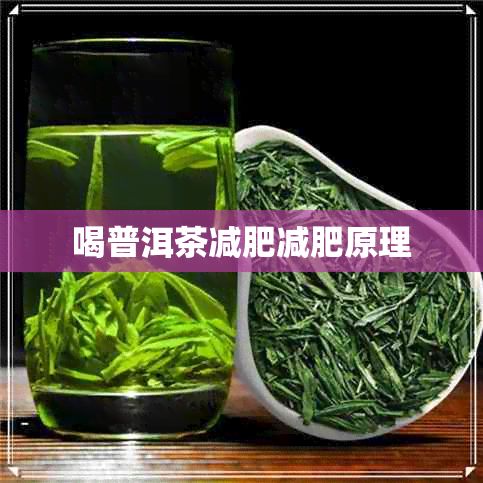 喝普洱茶減肥減肥原理
