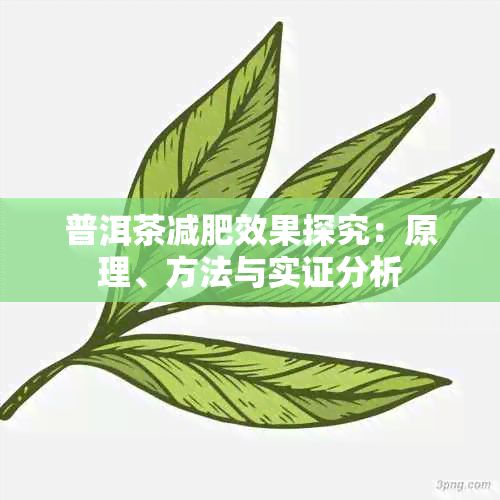 普洱茶減肥效果探究：原理、方法與實(shí)證分析