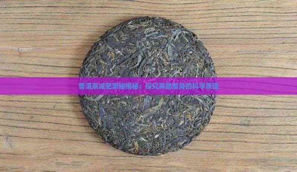 普洱茶減肥奧秘揭秘：探究其助瘦身的科學(xué)原理