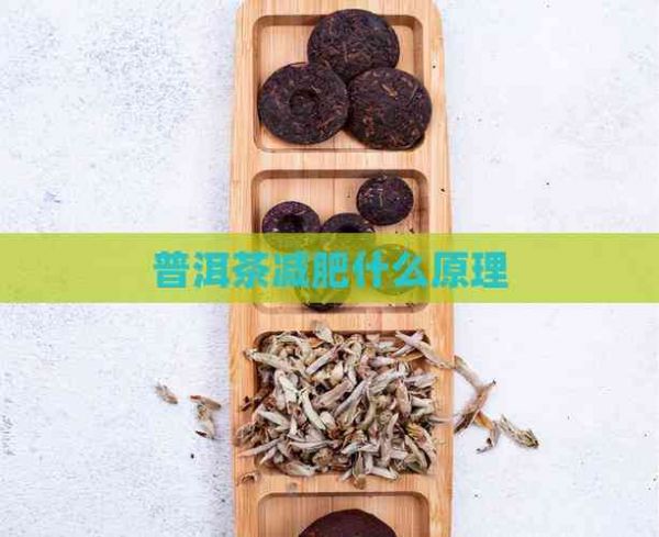 普洱茶減肥什么原理