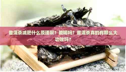 普洱茶減肥什么原理?。磕芎葐?？普洱茶真的有那么大功效嗎？