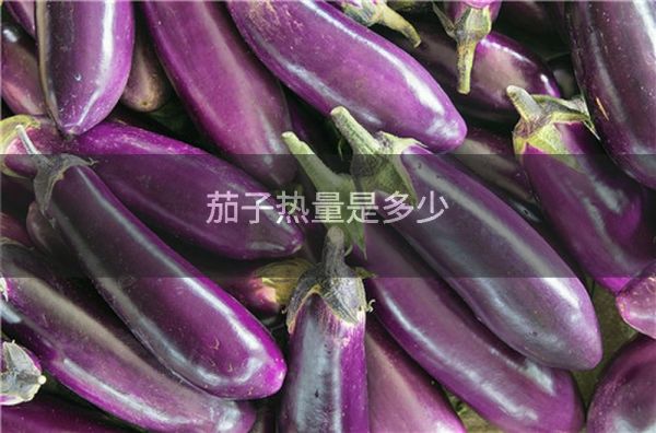 茄子热量是多少
