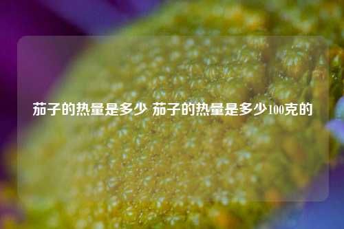 茄子的熱量是多少 茄子的熱量是多少100克的