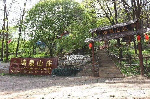 中國茶油品牌排行榜，品味千年傳承，領(lǐng)略健康生活