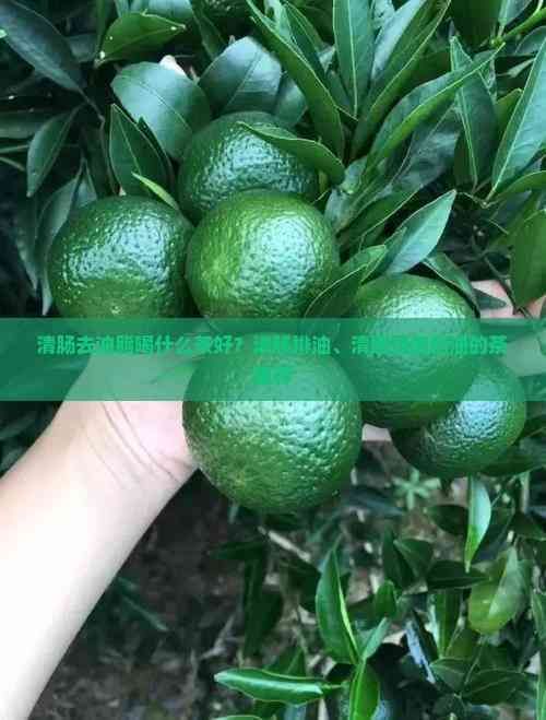 清腸去油脂喝什么茶好？清腸排油、清理腸道刮油的茶推薦