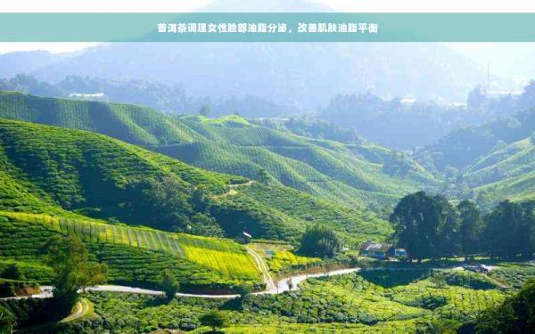 普洱茶調(diào)理女性臉部油脂分泌，改善肌膚油脂平衡