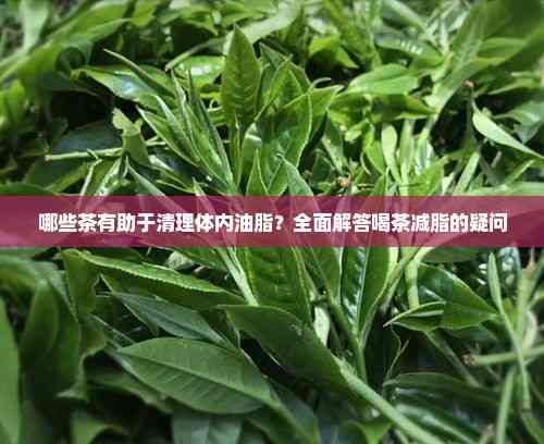 哪些茶有助于清理體內(nèi)油脂？全面解答喝茶減脂的疑問