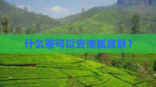 什么茶可以去油膩皮膚？