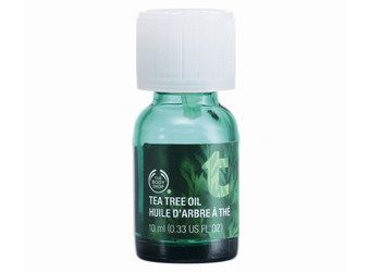 茶树油简介