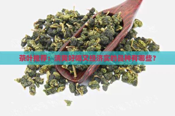 茶葉推薦：清爽好喝又經(jīng)濟(jì)實(shí)的品種有哪些？
