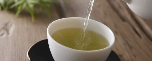陰虛體質(zhì)喝什么茶好 陰虛體質(zhì)適合喝什么茶 陰虛體質(zhì)吃什么好