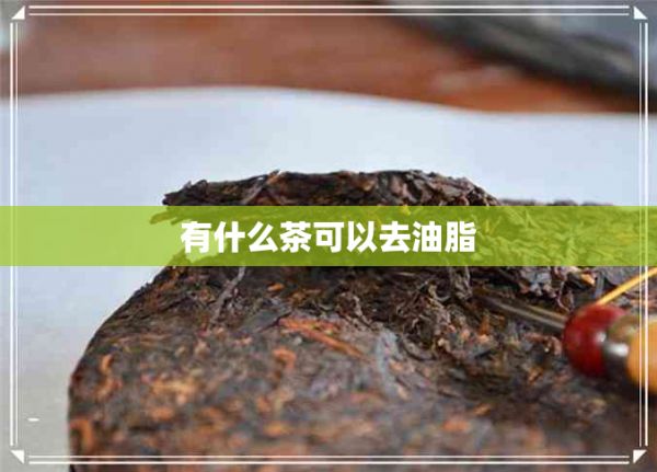 有什么茶可以去油脂