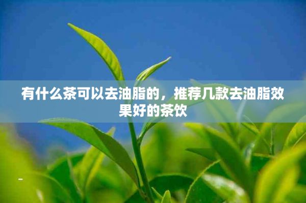 有什么茶可以去油脂的，推薦幾款去油脂效果好的茶飲