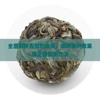 全面解析去脂刮油茶：哪種茶葉效果及正確飲用方法