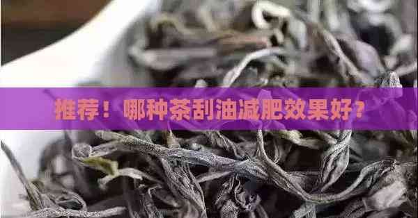 推薦！哪種茶刮油減肥效果好？