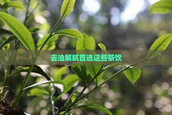 去油解膩首選這些茶飲