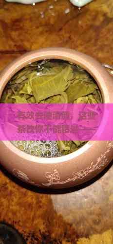 有效去油清脂，這些茶飲你不能錯過——全面解決油膩困擾