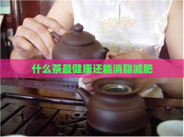 什么茶最健康還能消脂減肥