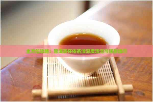 全方位攻略：普洱茶杯體茶漬深度清潔與保養(yǎng)技巧
