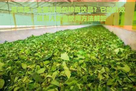 益清茶：全面排的神奇飲品？它的功效、適用人群及飲用方法解答