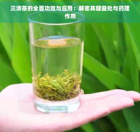三清茶的全面功效與應用：解密其健益處與藥理作用