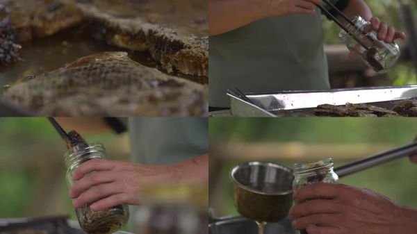 丽水蜂蜜 新鲜蜂巢块 天然蜂蜜 健康食品