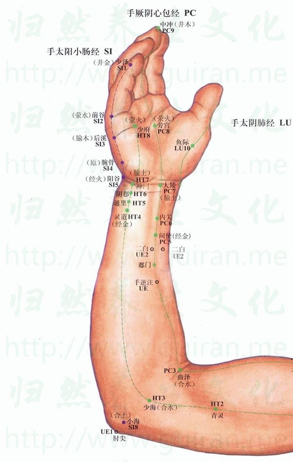 【經(jīng)絡(luò)穴位】心經(jīng)：少府穴 - 冬韻如歌 - 冬韻如歌