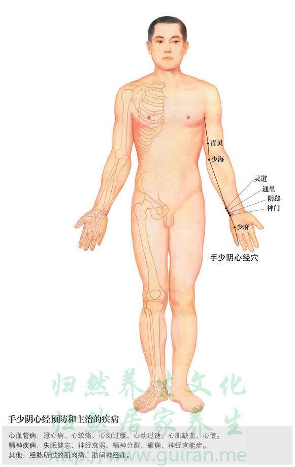 【經(jīng)絡(luò)穴位】心經(jīng)：少府穴 - 冬韻如歌 - 冬韻如歌